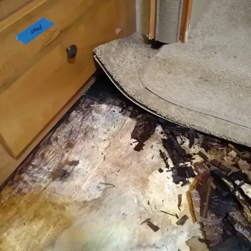 Best Wood Floor Water Damage Service in Cornwall, PA